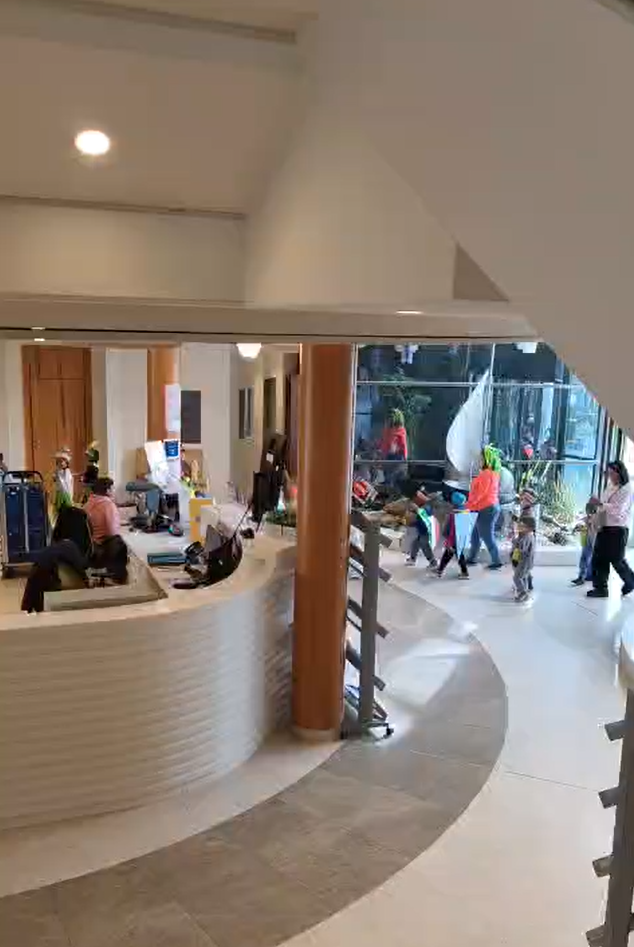 Défilé du Carnaval de Rio maternel